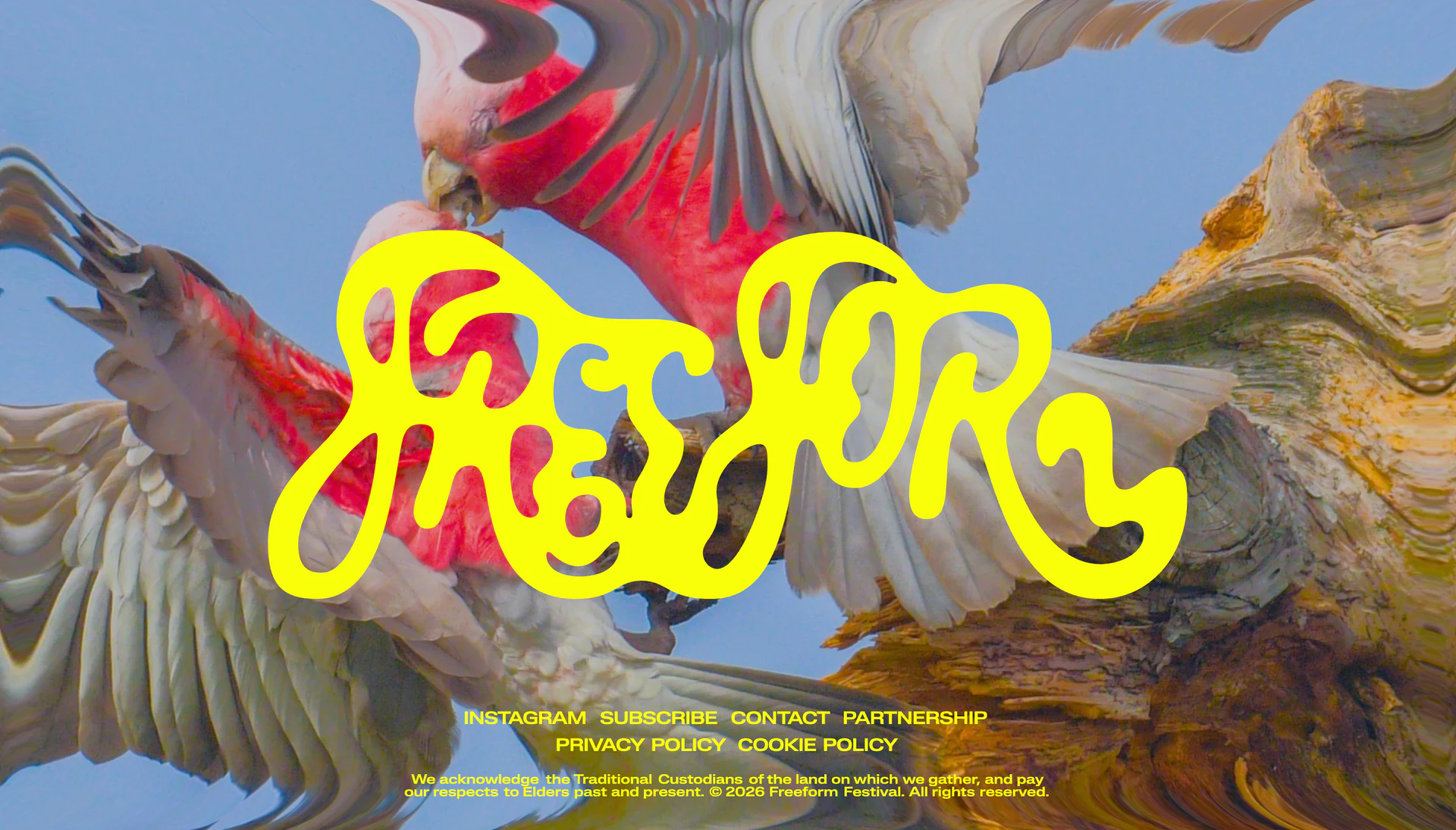 Freeform Festival 2026 — image 1