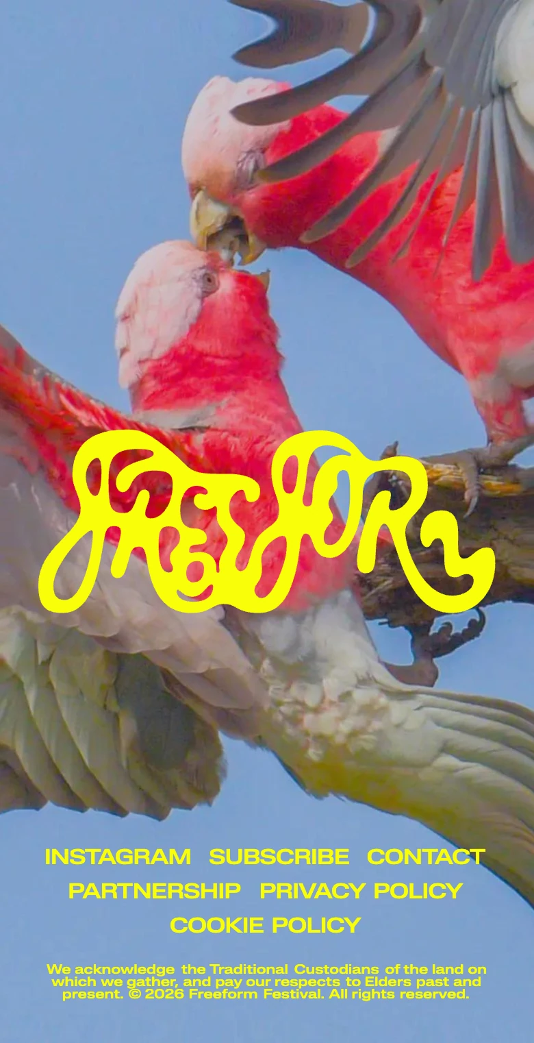 Freeform Festival 2026 — image 4